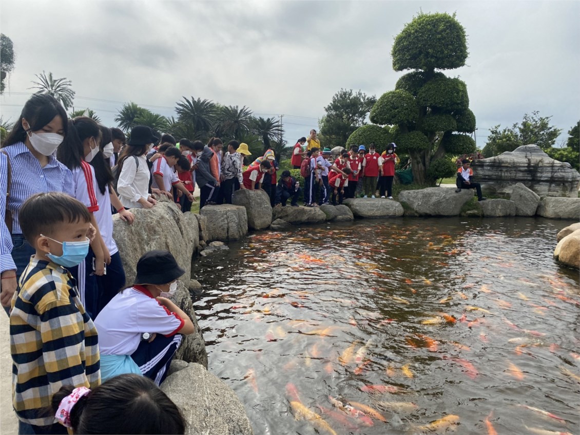 Nhấn vào ảnh để phóng to