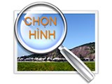 Về việc thực hiện cổng thông tin điện tử từ năm 2026 -2027