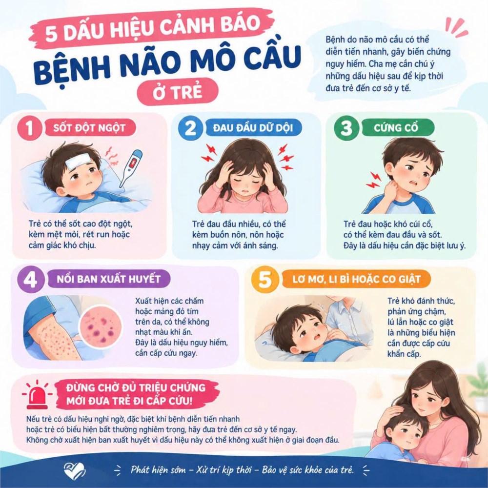 🚨 CẢNH BÁO: CHỦ ĐỘNG PHÒNG CHỐNG BỆNH DO NÃO MÔ CẦU TẠI TRƯỜNG HỌC VÀ GIA ĐÌNH — ảnh 3/3